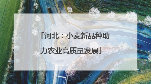 河北：小麦新品种助力农业高质量发展