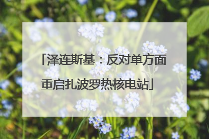 泽连斯基：反对单方面重启扎波罗热核电站