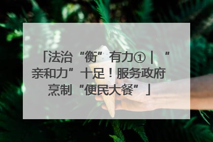 法治“衡”有力①｜“亲和力”十足！服务政府烹制“便民大餐”
