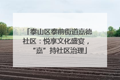 泰山区泰前街道嘉德社区：悦享文化盛宴，“嘉”持社区治理