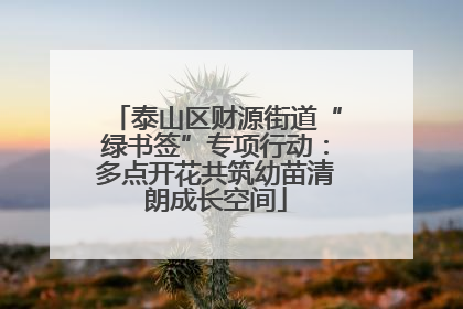 泰山区财源街道“绿书签”专项行动：多点开花共筑幼苗清朗成长空间