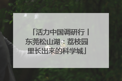 活力中国调研行丨东莞松山湖：荔枝园里长出来的科学城