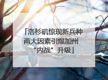 洛杉矶惊现新兵种 两大因素引爆加州“内战”升级