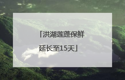 洪湖莲蓬保鲜延长至15天
