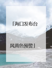 海口发布台风黄色预警