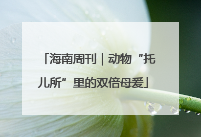 海南周刊｜动物“托儿所”里的双倍母爱
