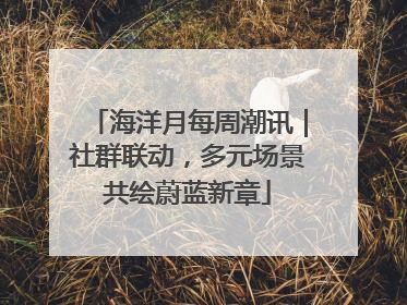 海洋月每周潮讯｜社群联动，多元场景共绘蔚蓝新章