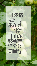 浓情端午，乐在其“粽”｜山东移动菏泽分公司举行端午节主题活动