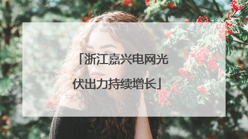 浙江嘉兴电网光伏出力持续增长
