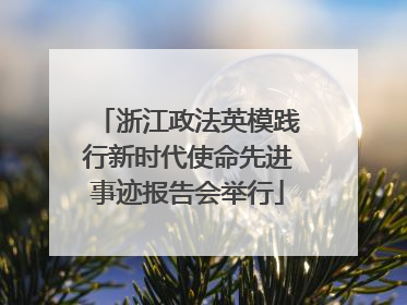 浙江政法英模践行新时代使命先进事迹报告会举行