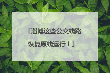 淄博这些公交线路恢复原线运行！