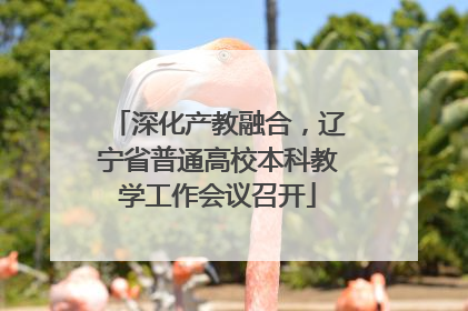 深化产教融合，辽宁省普通高校本科教学工作会议召开