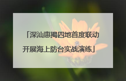 深汕惠揭四地首度联动开展海上防台实战演练