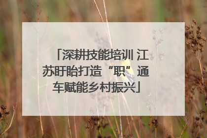 深耕技能培训 江苏盱眙打造“职”通车赋能乡村振兴