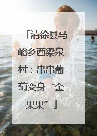清徐县马峪乡西梁泉村：串串葡萄变身“金果果”