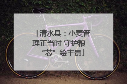 清水县：小麦管理正当时 守护粮“芯”绘丰景