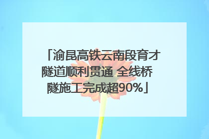渝昆高铁云南段育才隧道顺利贯通 全线桥隧施工完成超90%