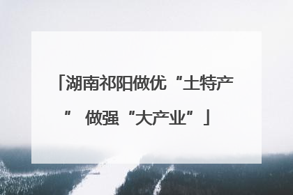 湖南祁阳做优“土特产” 做强“大产业”