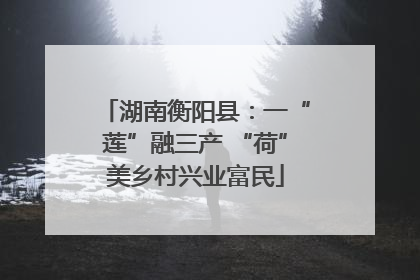湖南衡阳县：一“莲”融三产 “荷”美乡村兴业富民