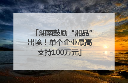 湖南鼓励“湘品”出境！单个企业最高支持100万元