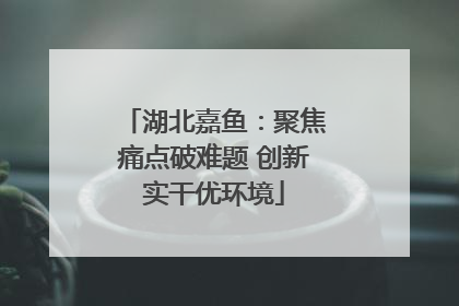 湖北嘉鱼：聚焦痛点破难题 创新实干优环境