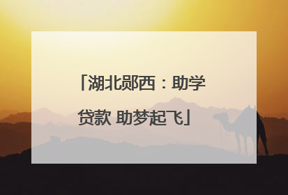 湖北郧西：助学贷款 助梦起飞