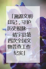 溯源文明印记，守护历史根脉——靖宇县第四次全国文物普查工作纪实
