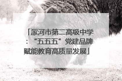 漯河市第二高级中学：“五五五”党建品牌赋能教育高质量发展