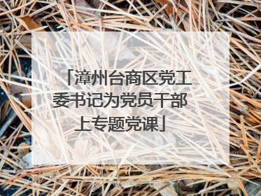 漳州台商区党工委书记为党员干部上专题党课