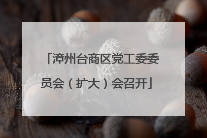 漳州台商区党工委委员会（扩大）会召开