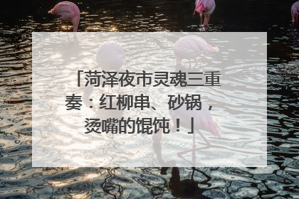 菏泽夜市灵魂三重奏：红柳串、砂锅，烫嘴的馄饨！