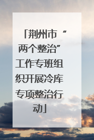 荆州市“两个整治”工作专班组织开展冷库专项整治行动