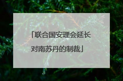 联合国安理会延长对南苏丹的制裁