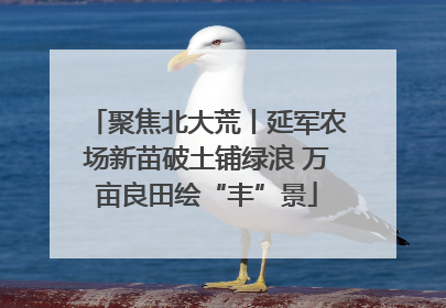 聚焦北大荒丨延军农场新苗破土铺绿浪 万亩良田绘“丰”景