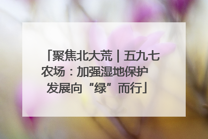 聚焦北大荒｜五九七农场：加强湿地保护 发展向“绿”而行