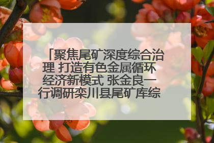 聚焦尾矿深度综合治理 打造有色金属循环经济新模式 张金良一行调研栾川县尾矿库综合治理工作