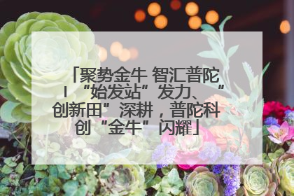 聚势金牛 智汇普陀〡“始发站”发力、“创新田”深耕，普陀科创“金牛”闪耀