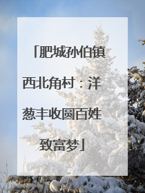肥城孙伯镇西北角村：洋葱丰收圆百姓致富梦