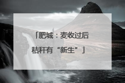肥城：麦收过后秸秆有“新生”