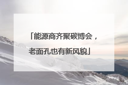 能源商齐聚碳博会，老面孔也有新风貌