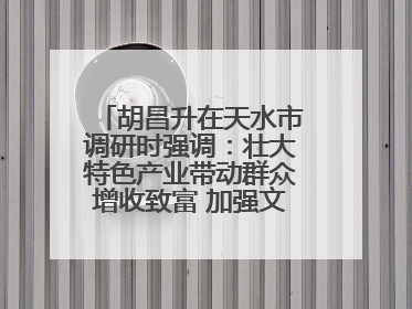 胡昌升在天水市调研时强调：壮大特色产业带动群众增收致富 加强文物保护推动文化创新发展