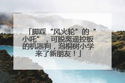 脚踩“风火轮”的“小吒”，可脱离遥控板的机器狗，泡桐树小学来了新朋友！