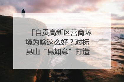 自贡高新区营商环境为啥这么好？对标昆山“昆如意”打造自贡“高兴办”｜美好生活有“盐”味