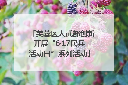 芙蓉区人武部创新开展“6·17民兵活动日”系列活动