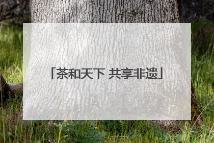 茶和天下 共享非遗