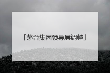 茅台集团领导层调整