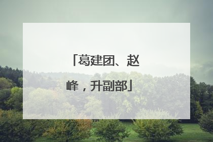 葛建团、赵峰，升副部