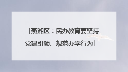 蒸湘区：民办教育要坚持党建引领、规范办学行为