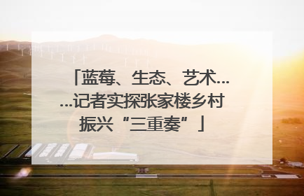 蓝莓、生态、艺术……记者实探张家楼乡村振兴“三重奏”