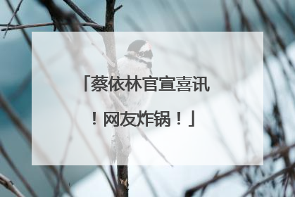 蔡依林官宣喜讯！网友炸锅！